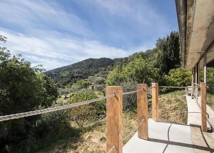 Bas De Villa Au Milieu Des Oliviers.