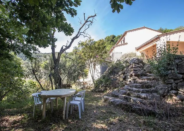 Bas De Villa Au Milieu Des Oliviers.